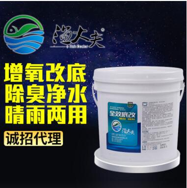 全效底改